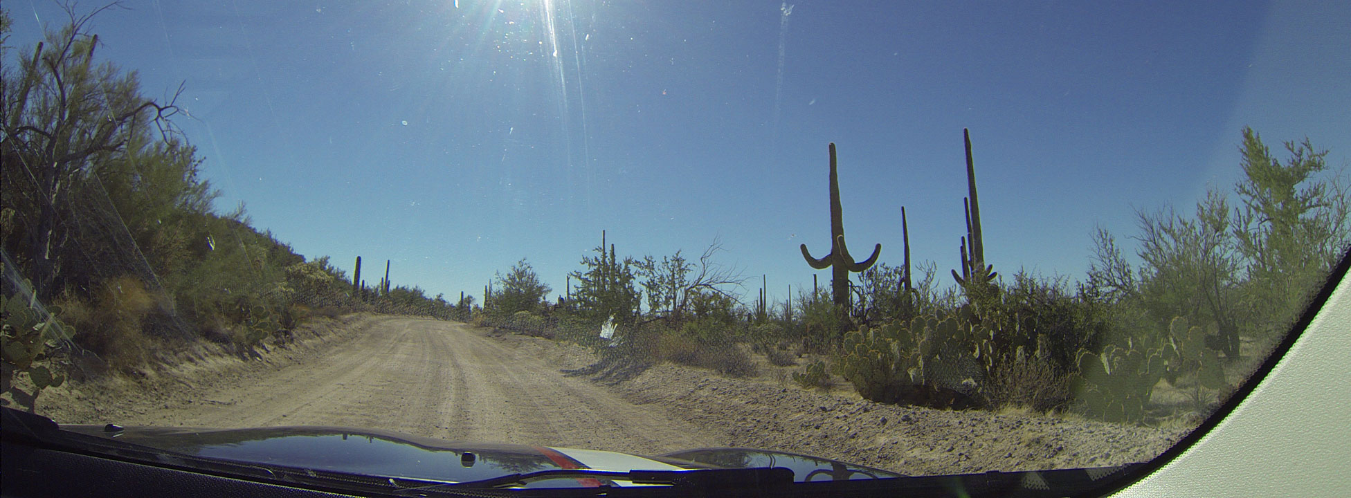 Dash cam: driving in the Sauguaro National Park near Tucson